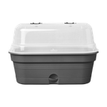 green basics anzucht schale allin1 m living schwarz